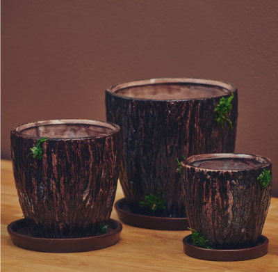 Дърво в дърво