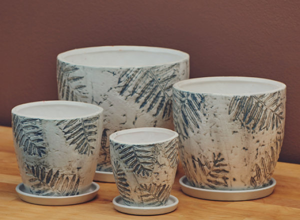 Палми от Хавай